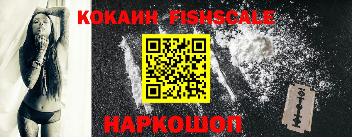 COCAIN Fish Scale  Вход с VPN  Кокаин Fish Scale  Ишим 